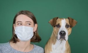 reglas-para-ir-al-veterinario-con-tu-mascota-en-la-nueva-normalidad