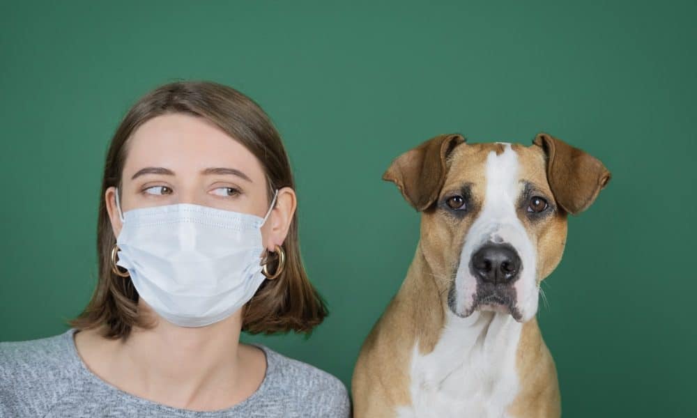 reglas-para-ir-al-veterinario-con-tu-mascota-en-la-nueva-normalidad