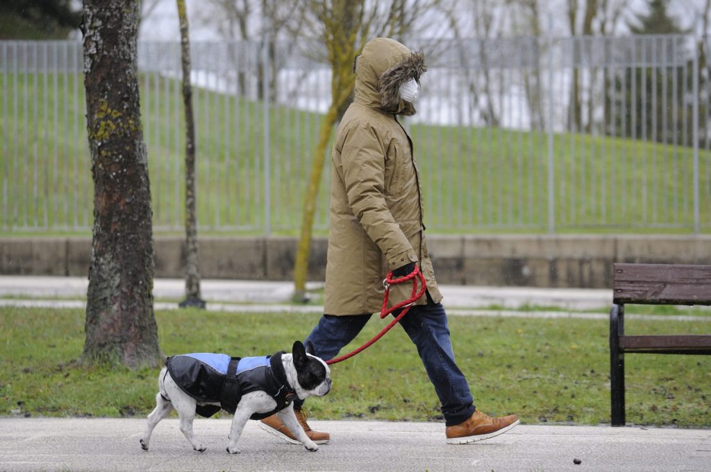 Recomendaciones para pasear a tu perro durante el nuevo Estado de Alarma