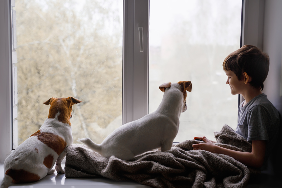 las-mascotas-el-mejor-apoyo-ante-la-pandemia