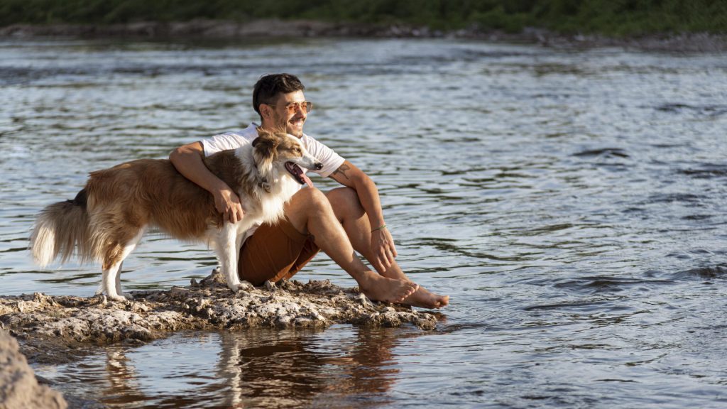Nueva ley de protección animal - Noticias